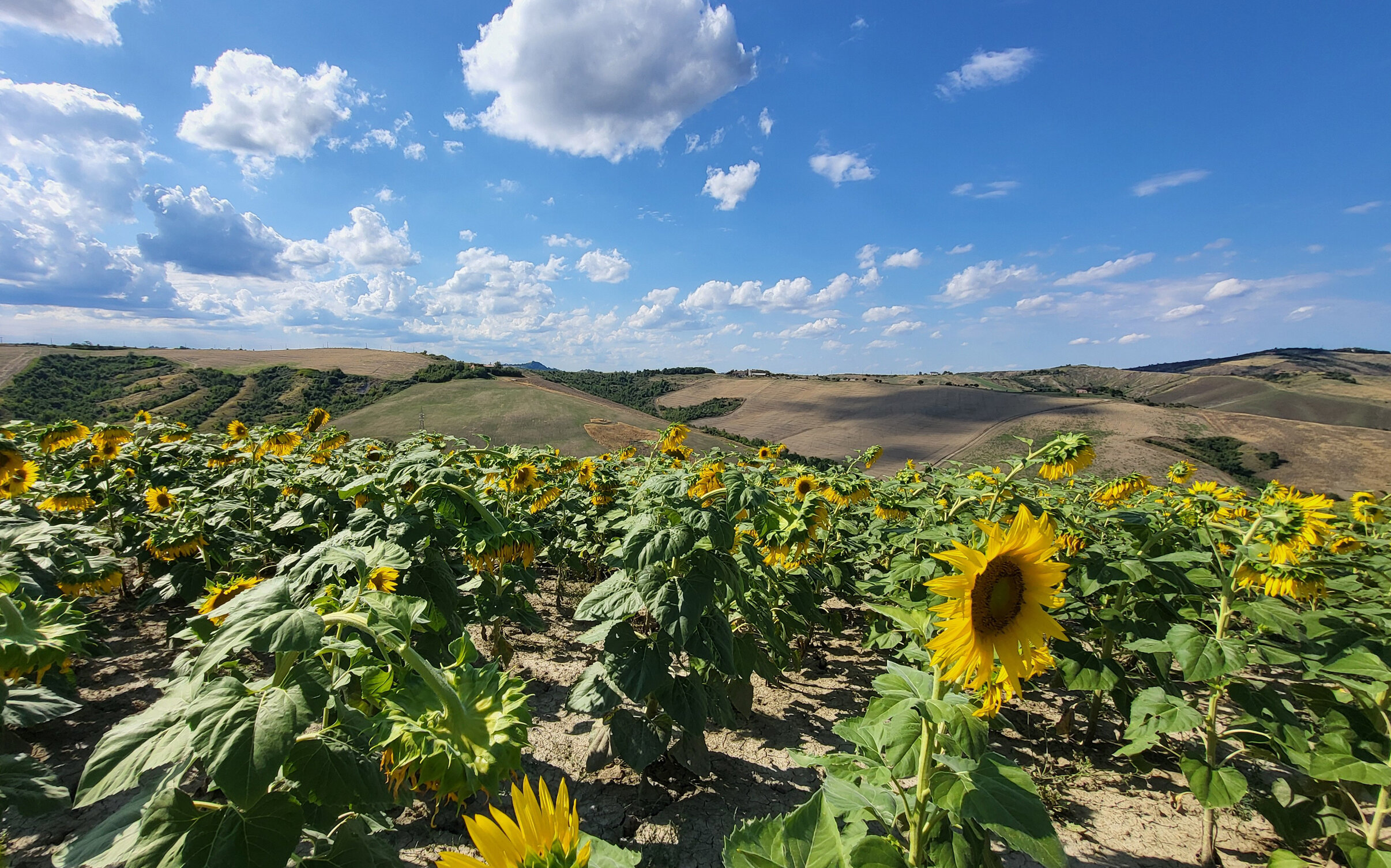 Agricoltori, come affrontare i momenti difficili e di grande incertezza