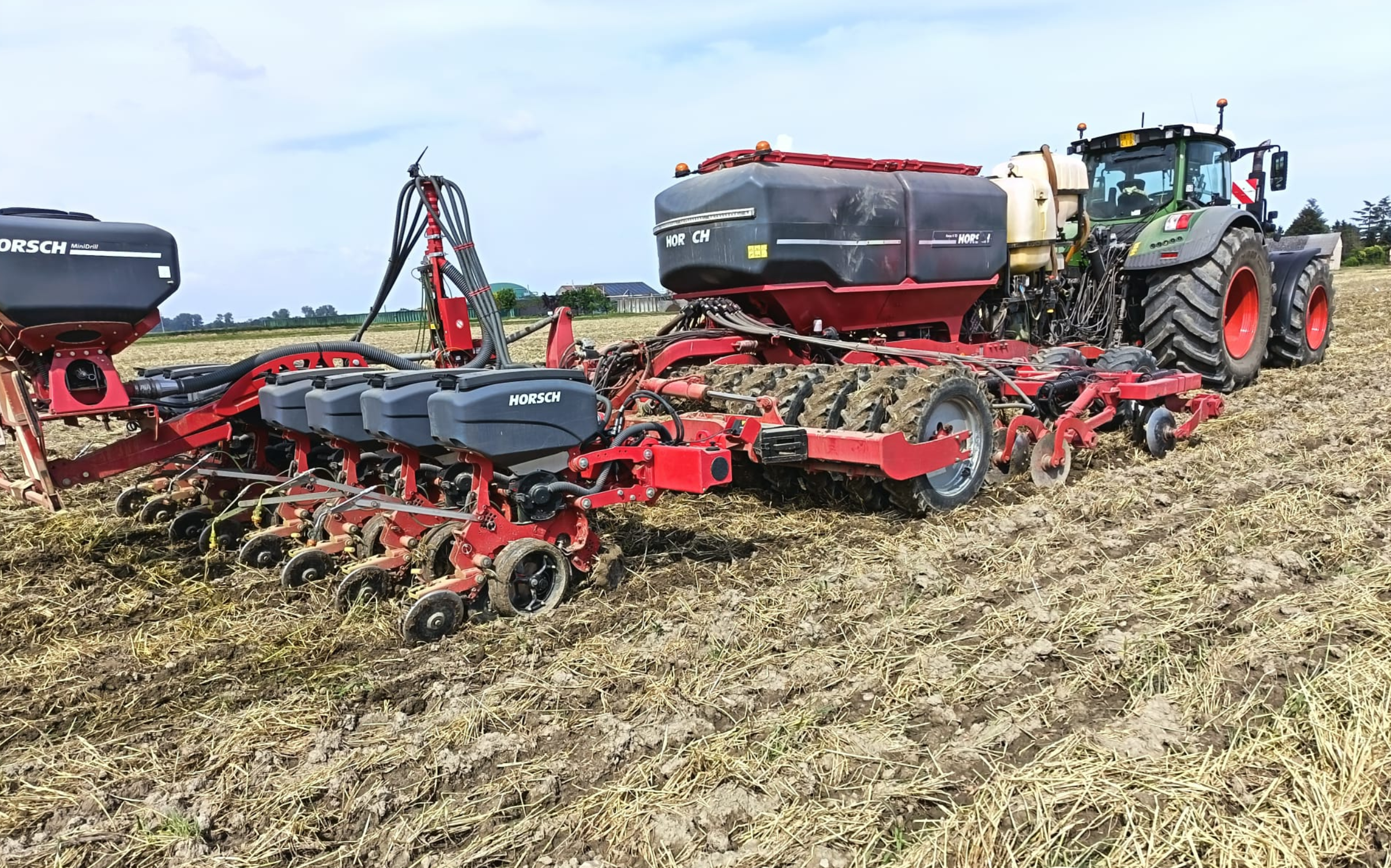 girasole.png