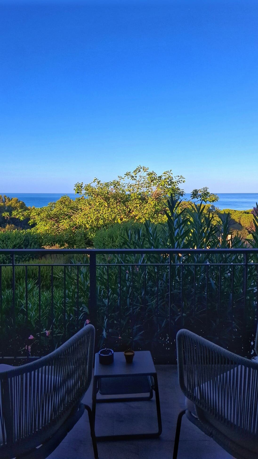 dalla-terrazza-di-luna-minoica.jpeg dalla-terrazza-di-luna-minoica.jpeg