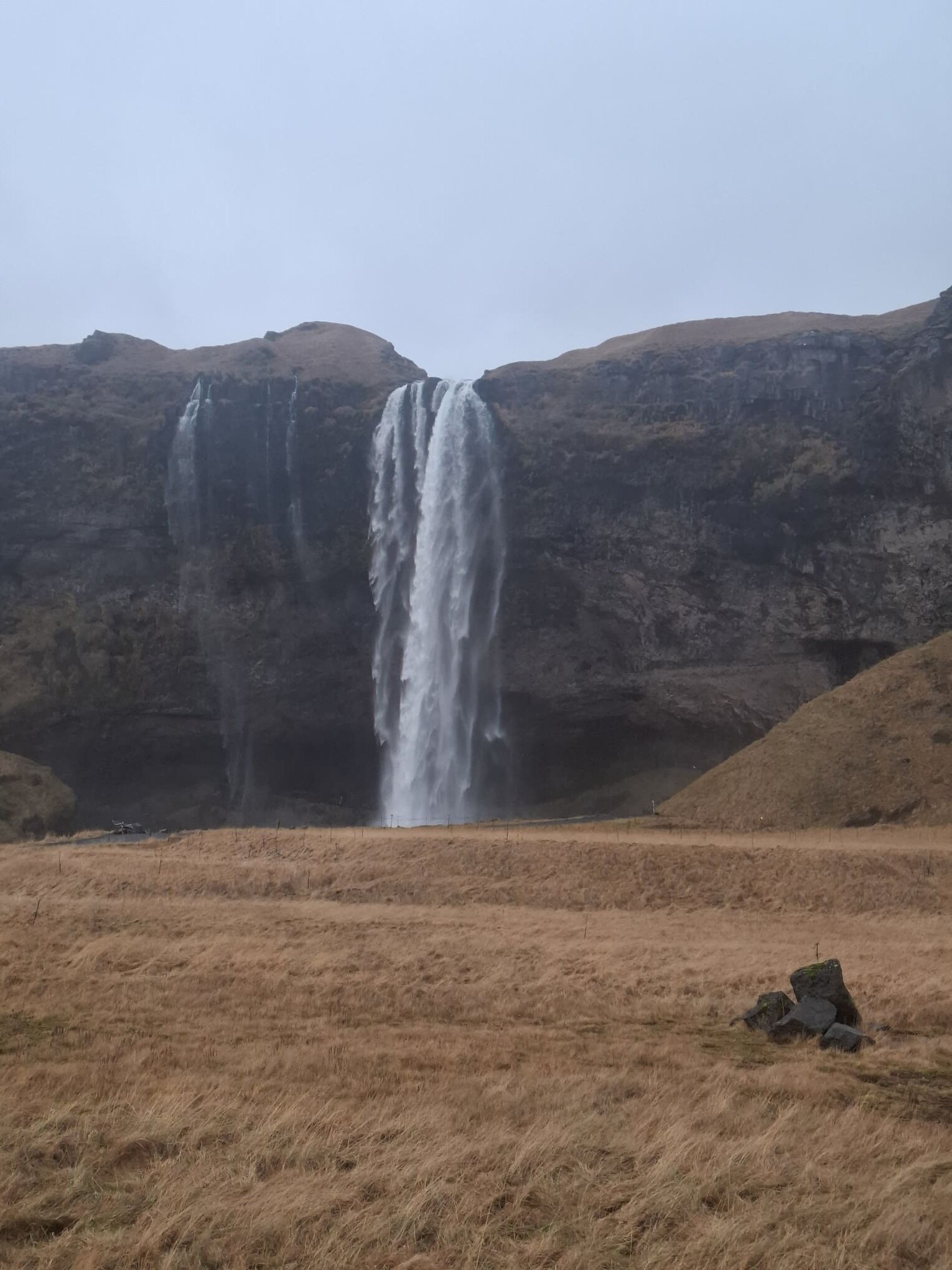 20251212_124025.jpeg 20251212_124025.jpeg