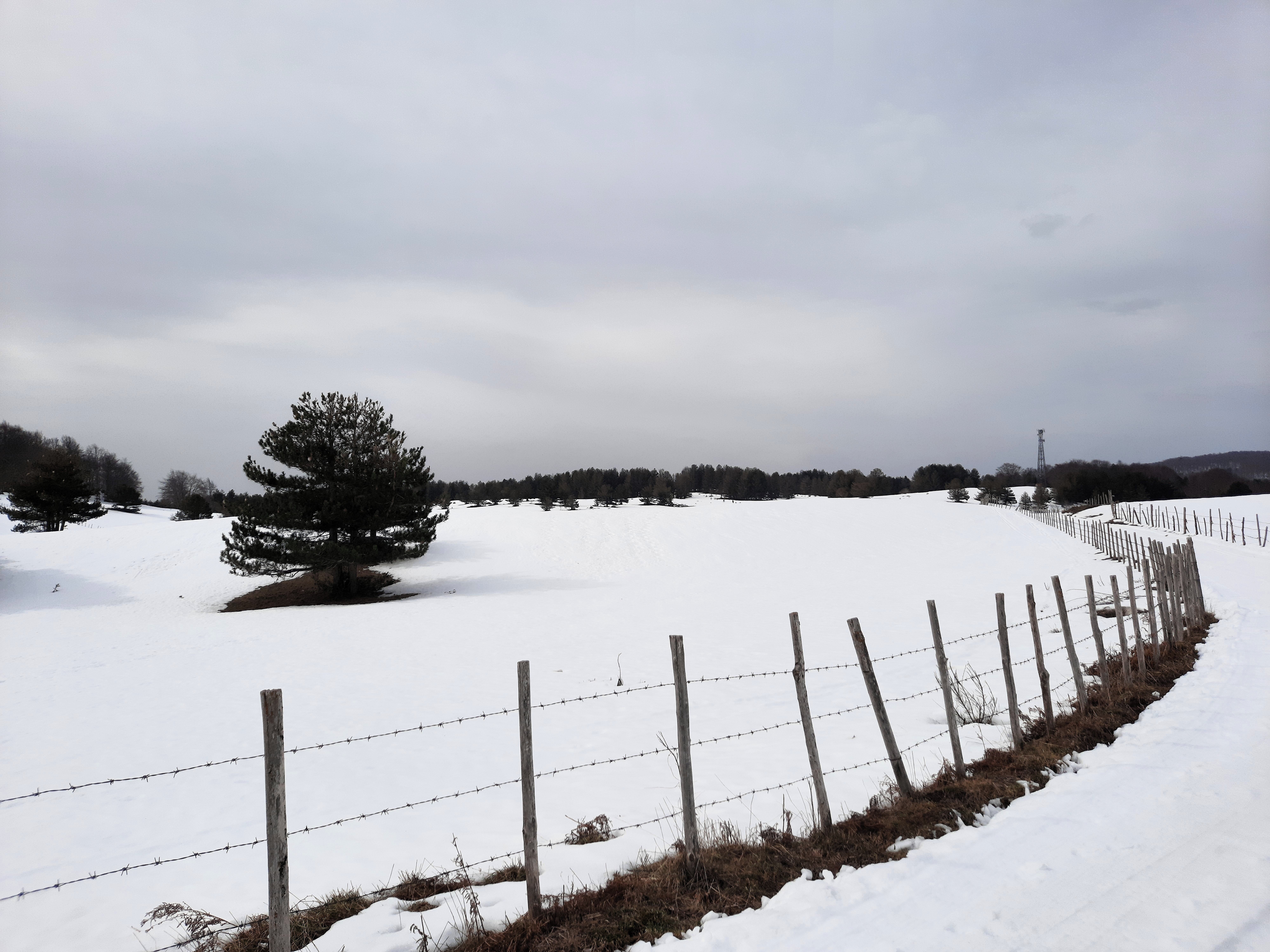 pianoro-carlomagno.jpeg pianoro-carlomagno.jpeg