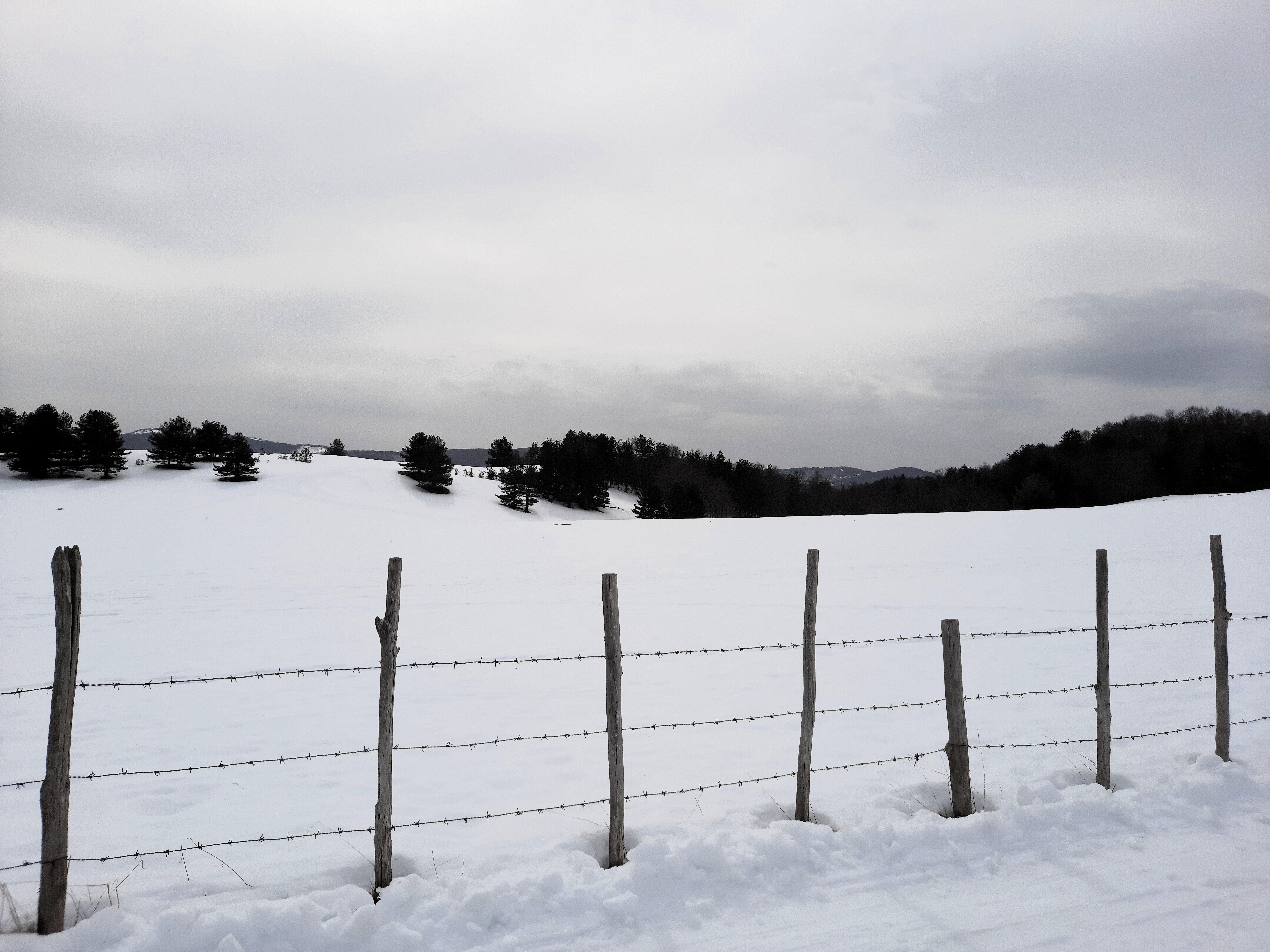 carlomagno.jpeg carlomagno.jpeg