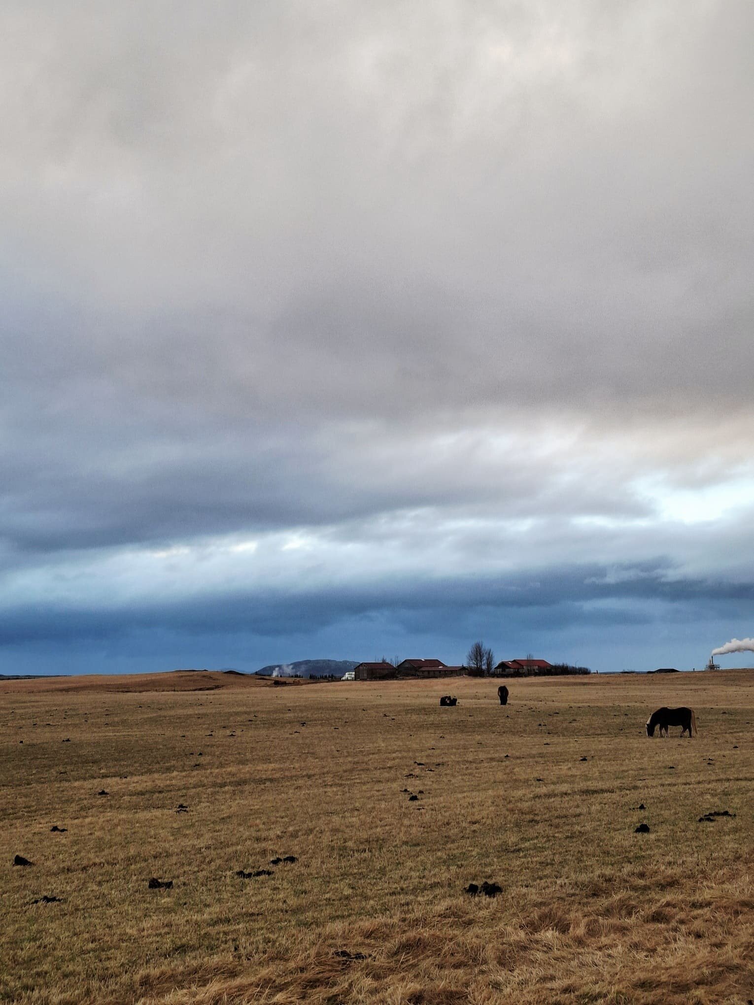 20251211_121520.jpeg 20251211_121520.jpeg