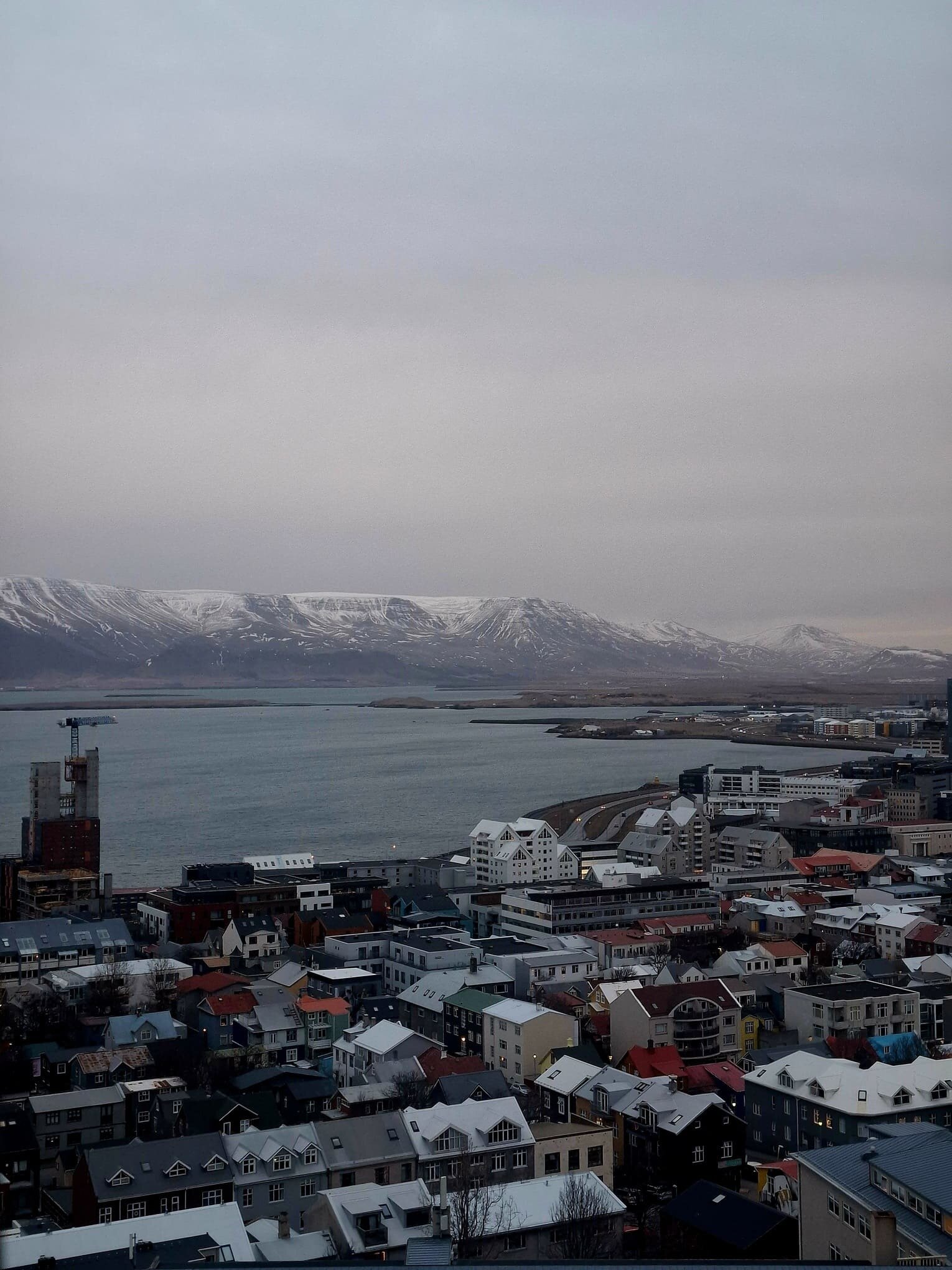 20251210_123026.jpeg 20251210_123026.jpeg