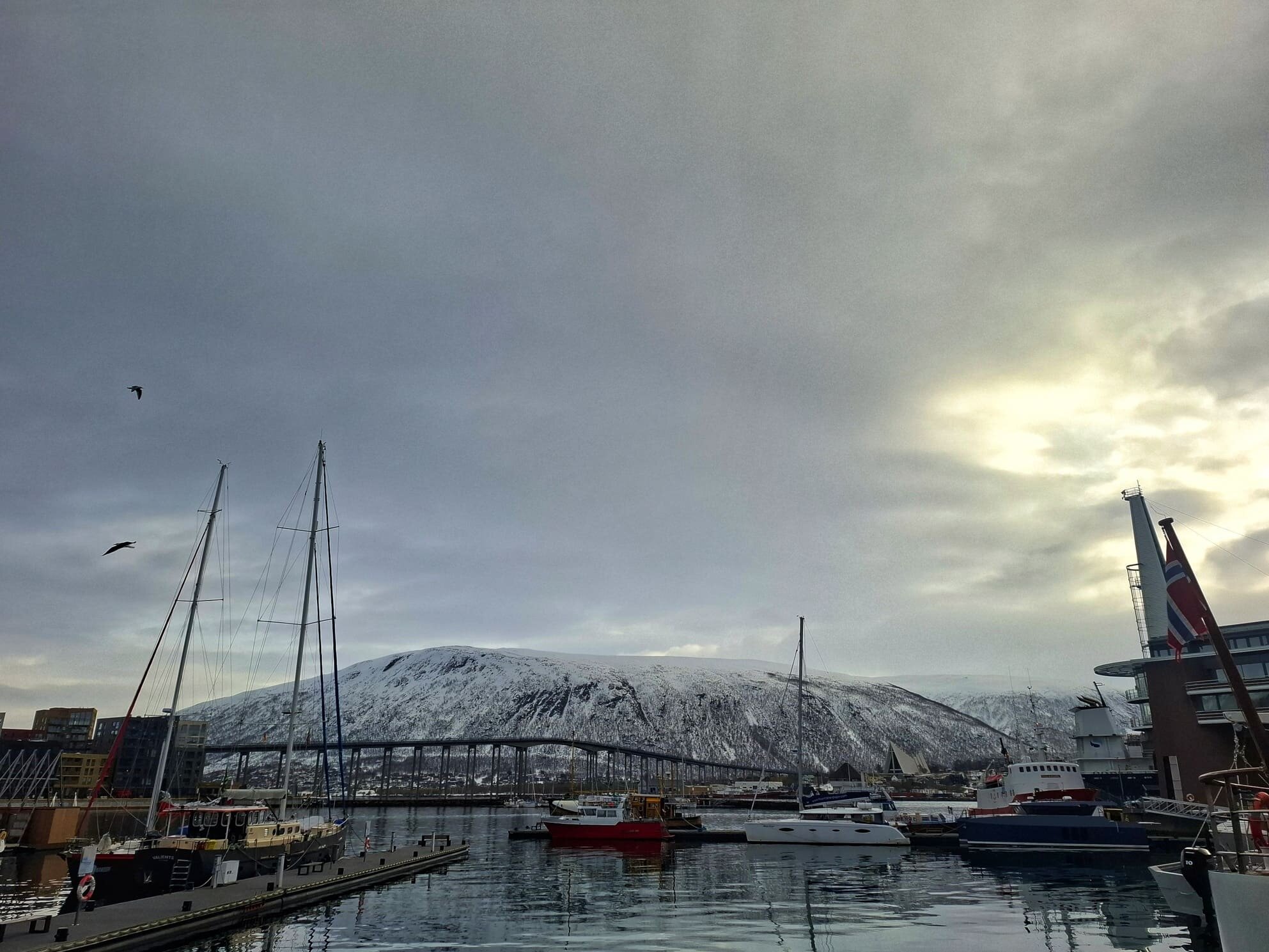 tromso_porto.jpeg