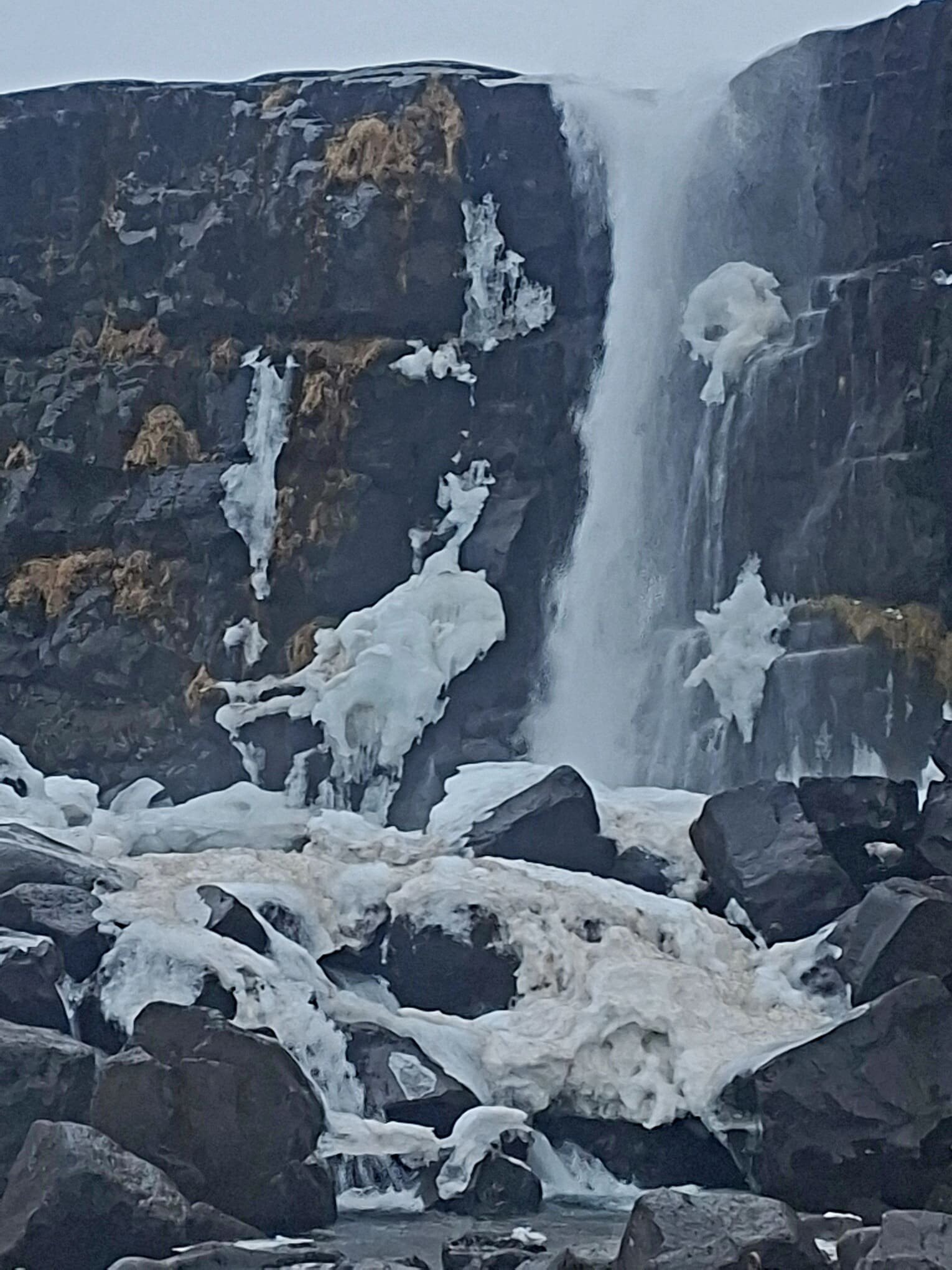 20251211_110600.jpeg 20251211_110600.jpeg