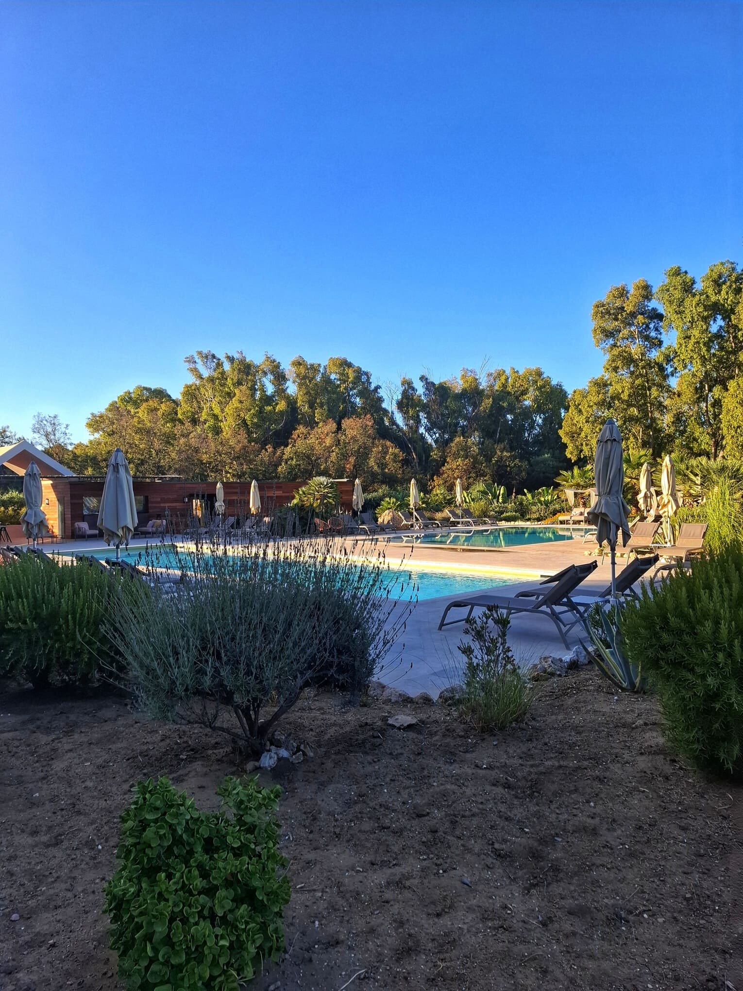 luna-minoica-piscine.jpeg luna-minoica-piscine.jpeg