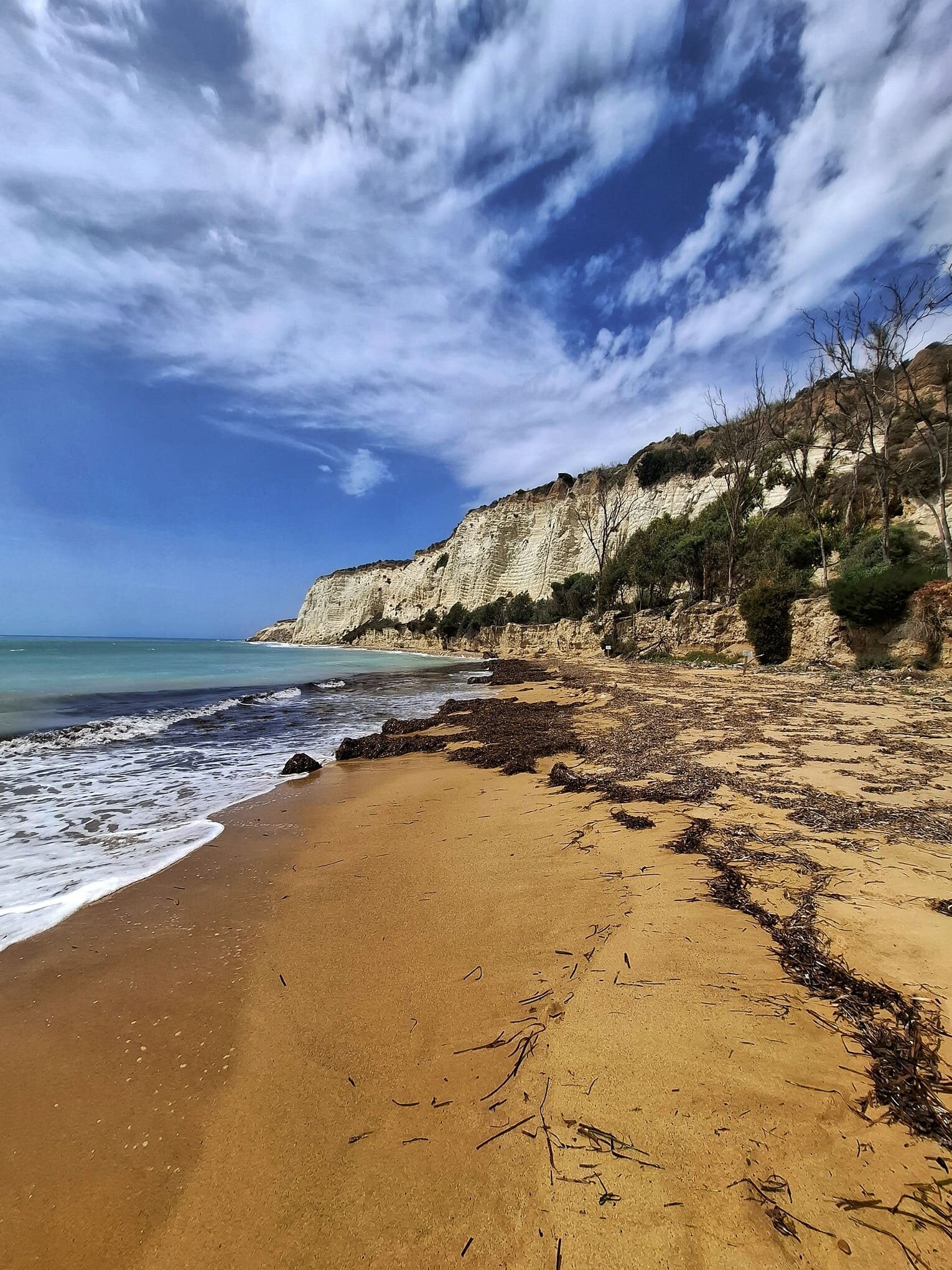 capo-bianco.jpeg capo-bianco.jpeg