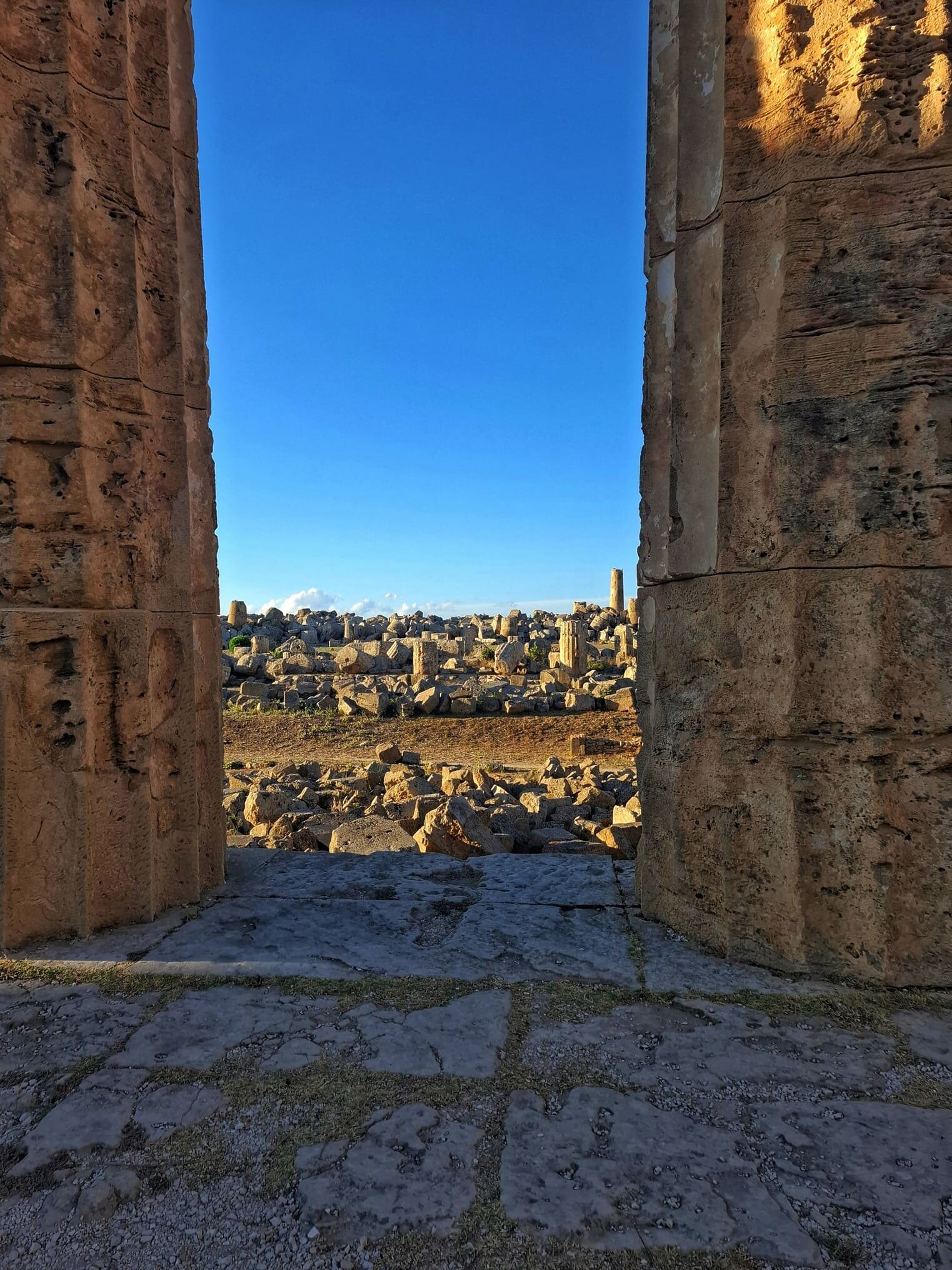 resti-tempio-g-dal-tempio-e-selinunte.jpeg resti-tempio-g-dal-tempio-e-selinunte.jpeg