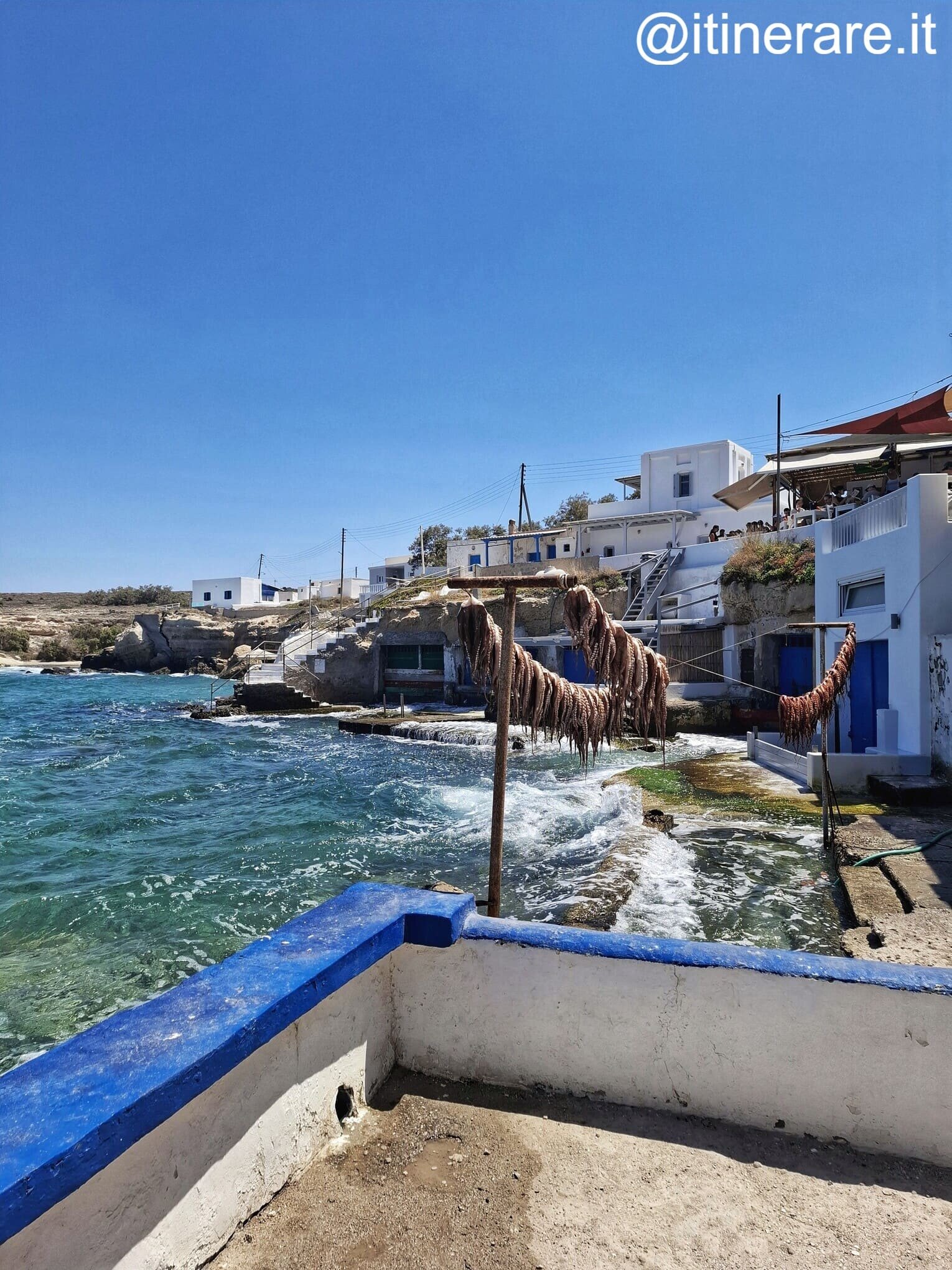 milos_mercoledì_polpi_mandrakia.jpeg milos_mercoledì_polpi_mandrakia.jpeg