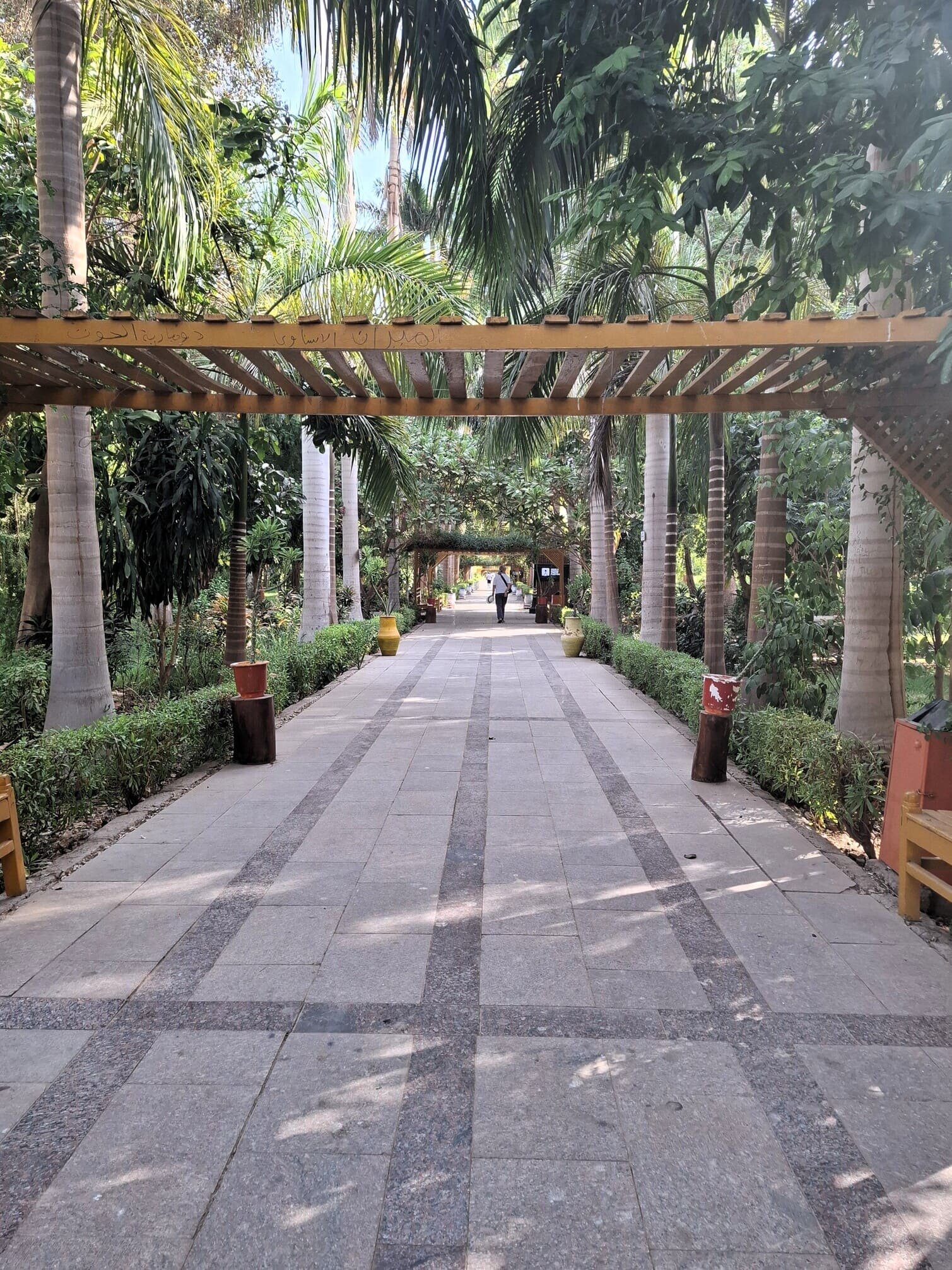 giardini-assuan.jpeg giardini-assuan.jpeg