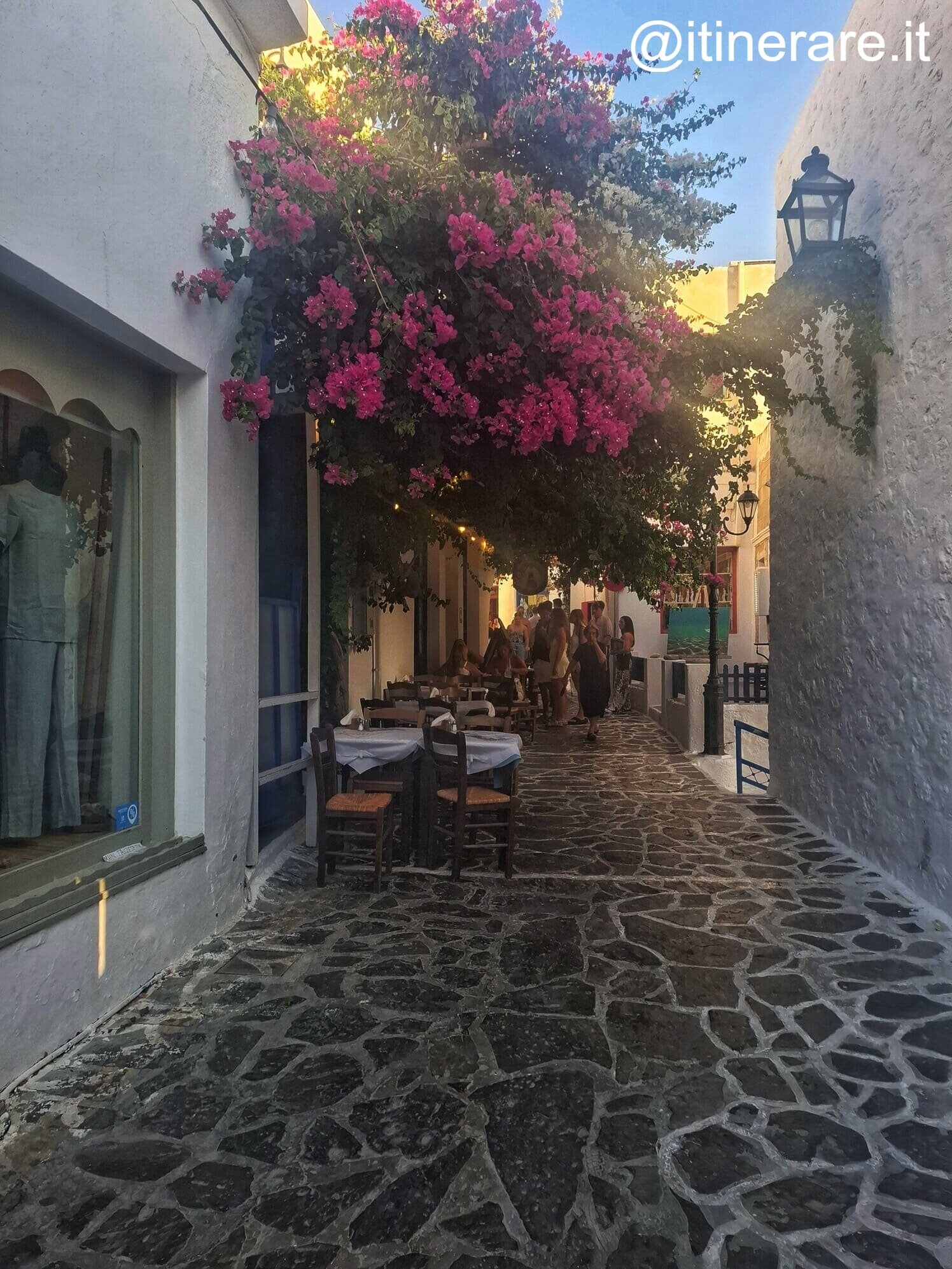 milos_mercoledì_vicoli_plaka.jpeg milos_mercoledì_vicoli_plaka.jpeg