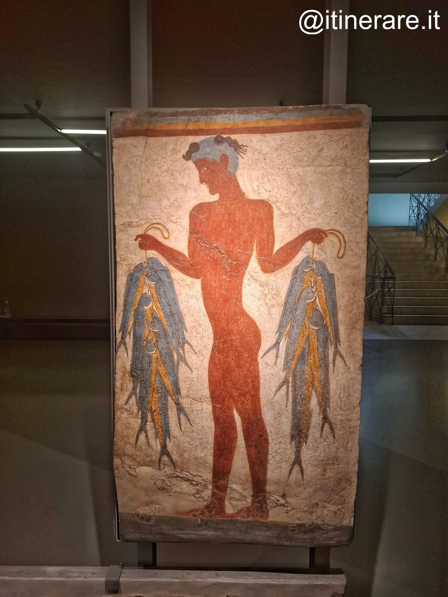 santorini_domenica_museofirapreistorica_mosaici_fira.jpeg santorini_domenica_museofirapreistorica_mosaici_fira.jpeg