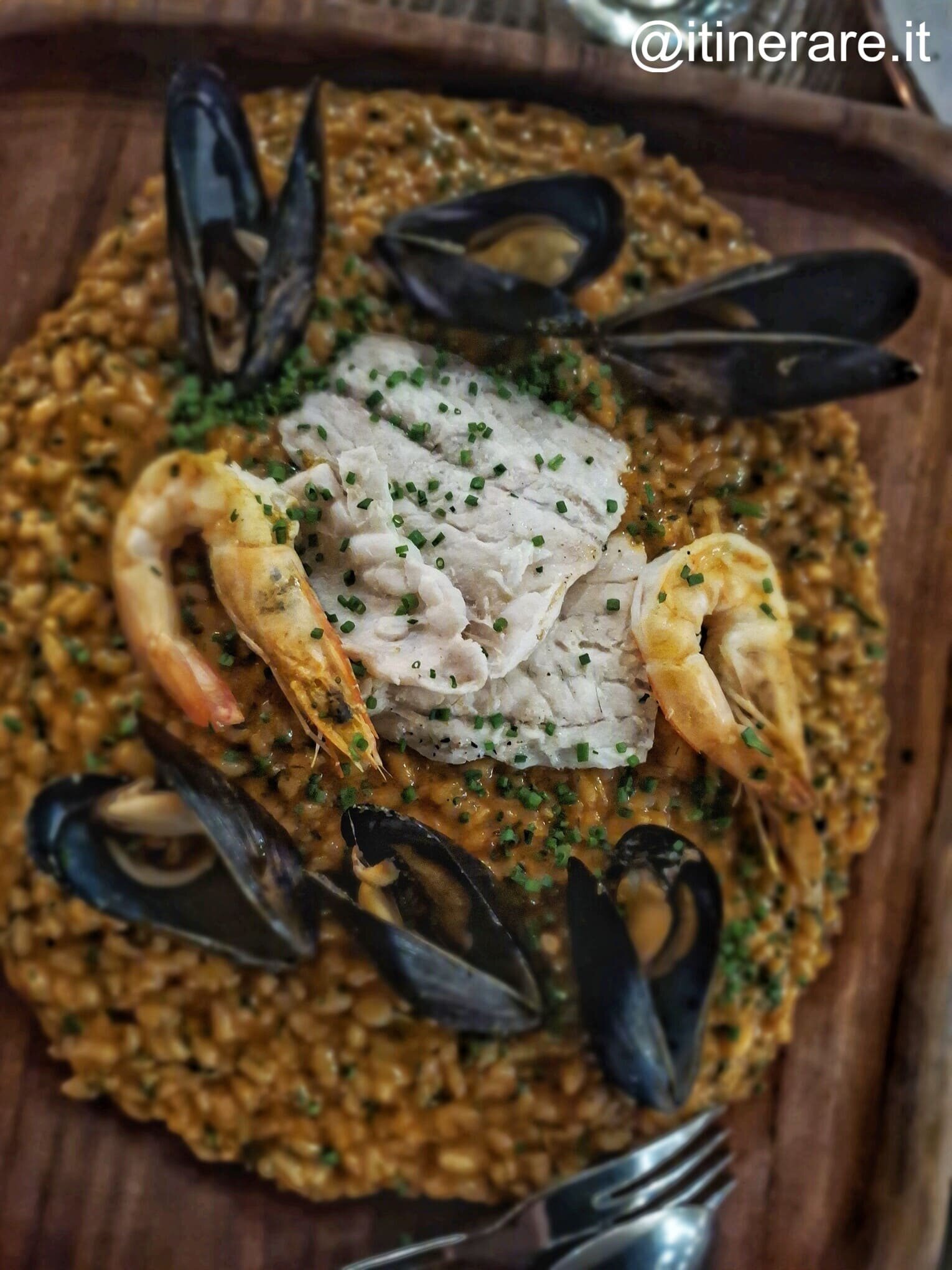 santorini_sabato_kakavia_yalosbeach.jpeg santorini_sabato_kakavia_yalosbeach.jpeg