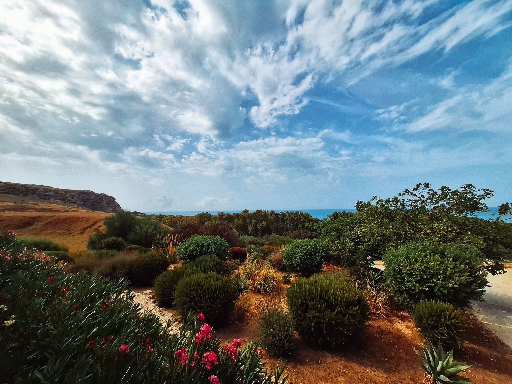 macchia-mediterranea_luna-minoica.jpeg macchia-mediterranea_luna-minoica.jpeg