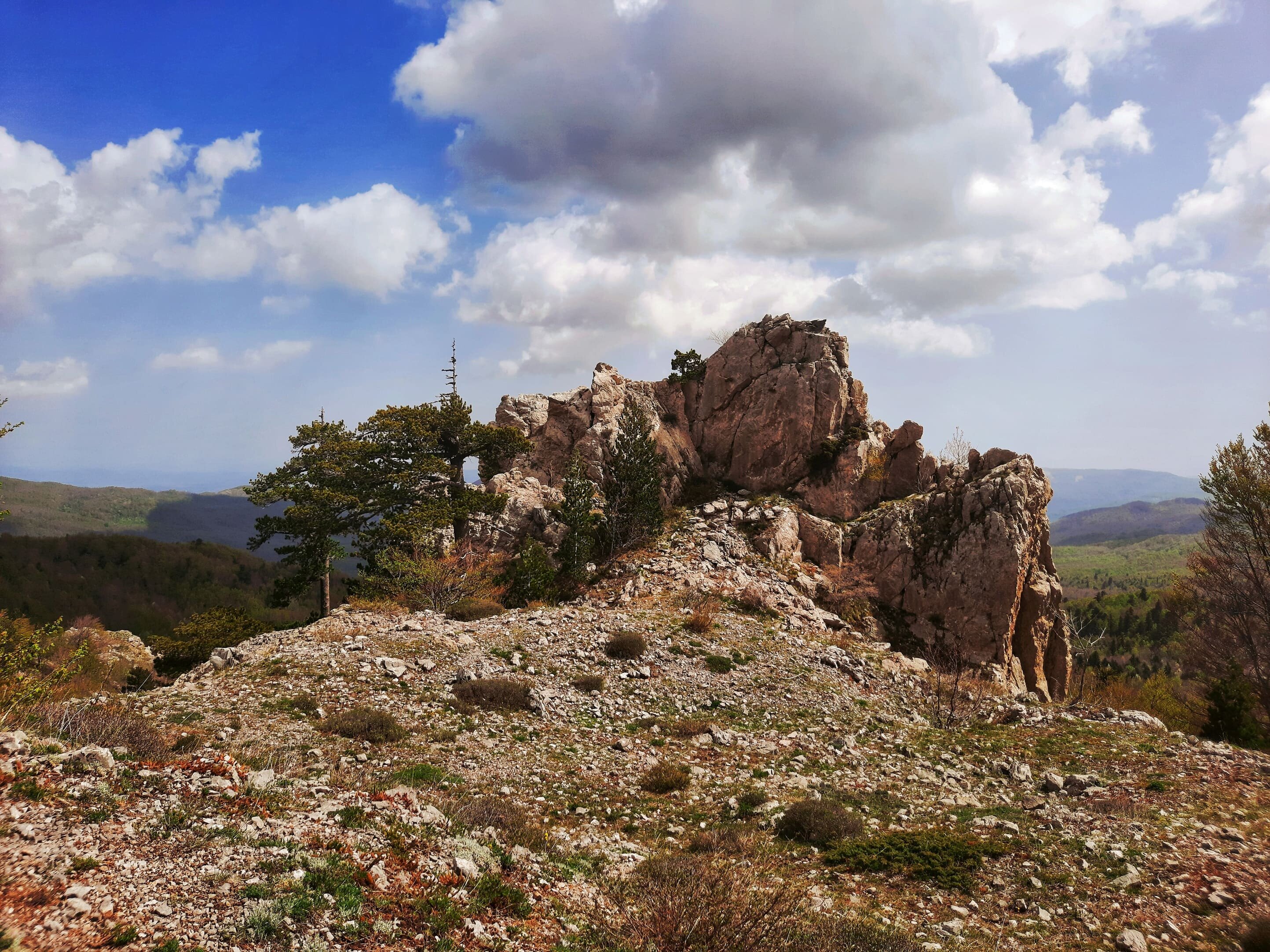 pietracastello_piniloricati_vista.jpeg