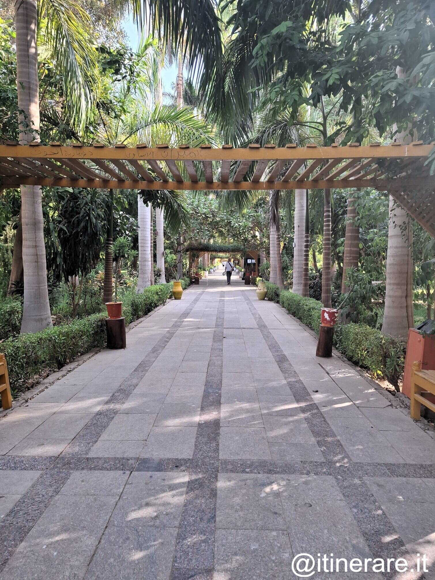 giardini-assuan.jpeg giardini-assuan.jpeg