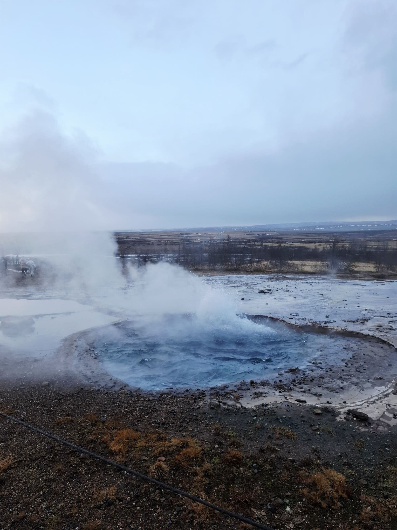 20251211_131027.jpeg 20251211_131027.jpeg