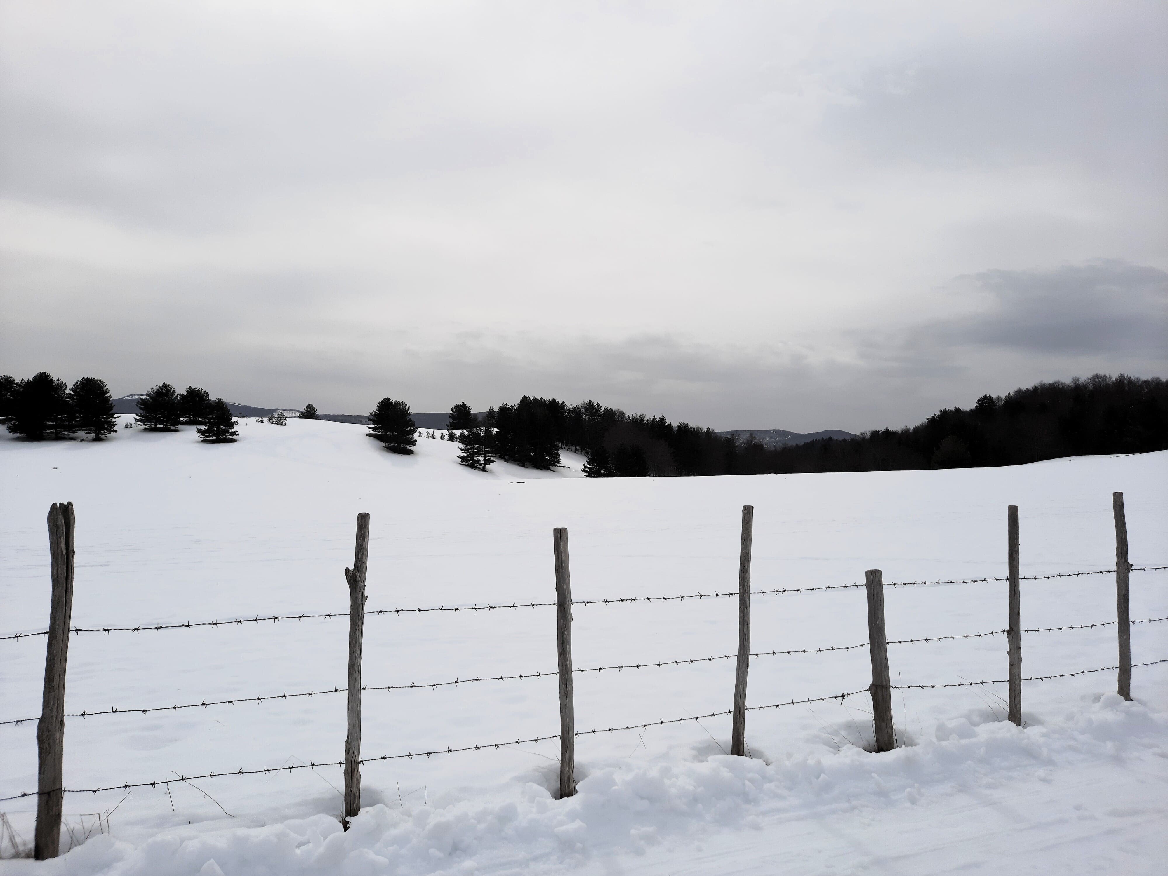 carlomagno.jpeg carlomagno.jpeg