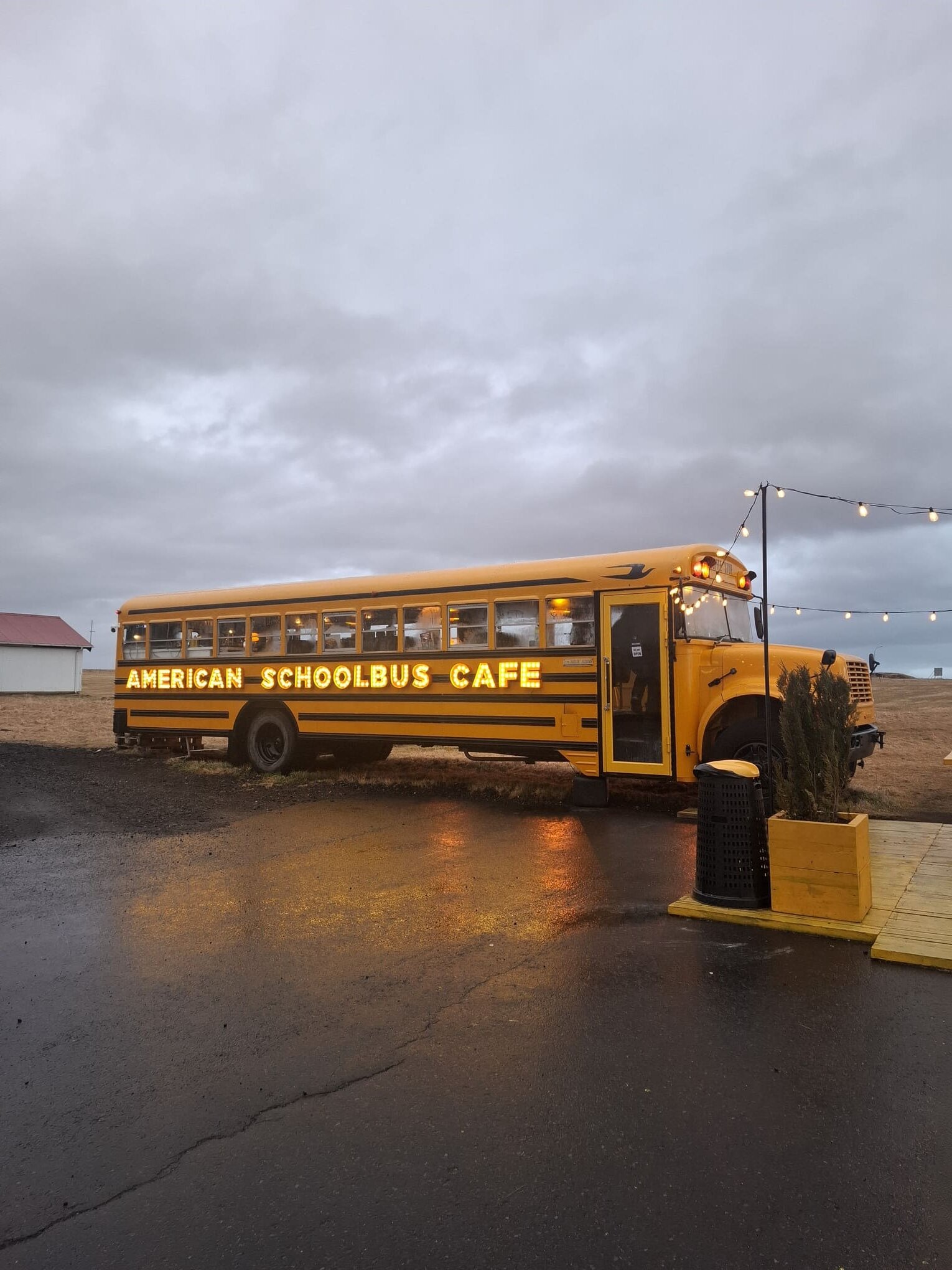 20251212_120509.jpeg 20251212_120509.jpeg