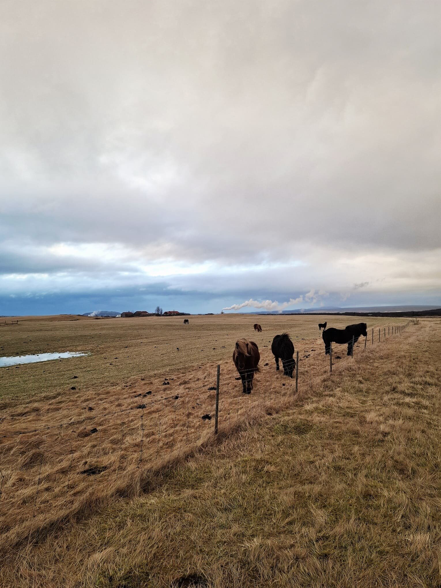 20251211_121350.jpeg 20251211_121350.jpeg