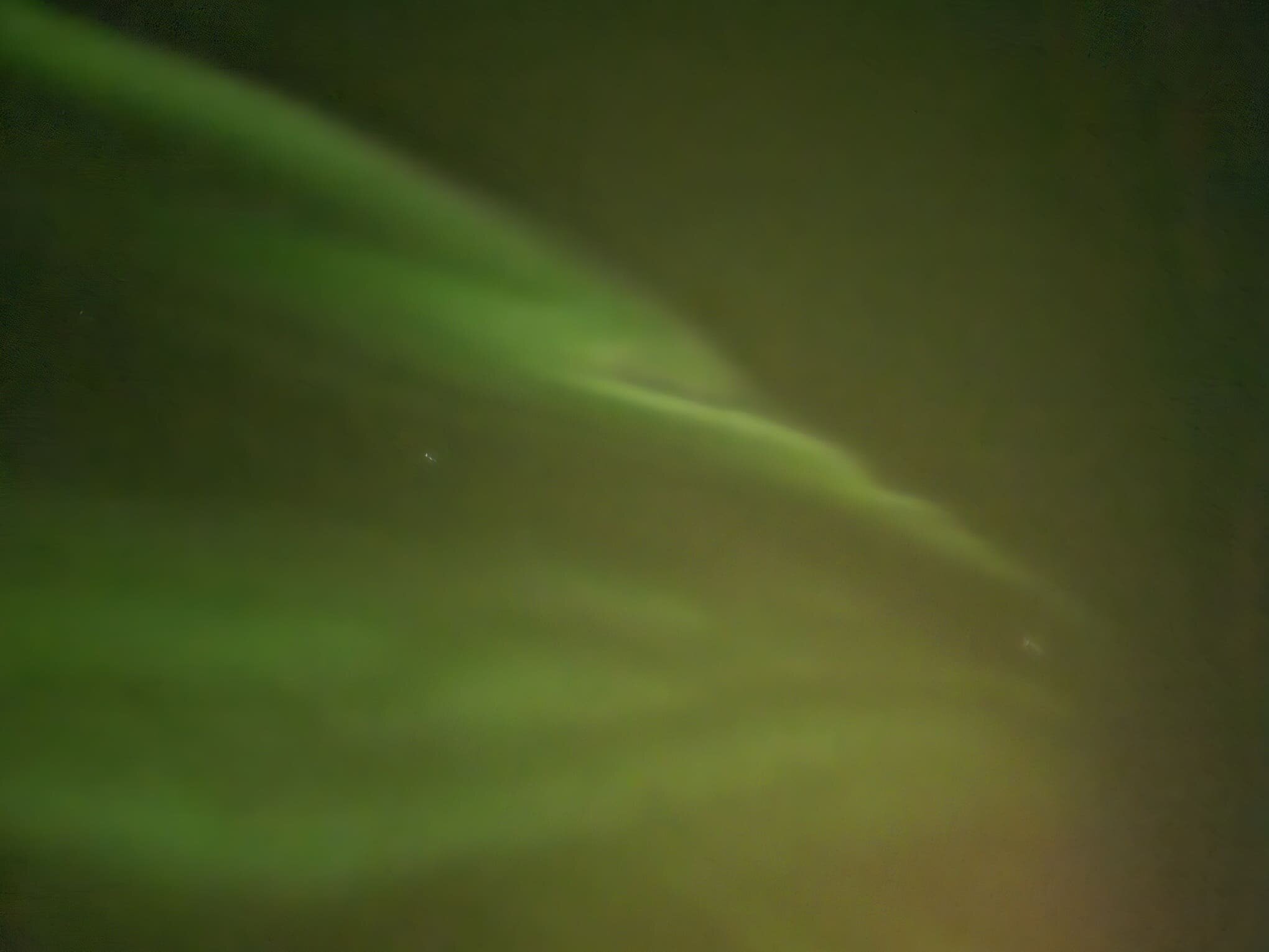 20251210_220636.jpeg 20251210_220636.jpeg