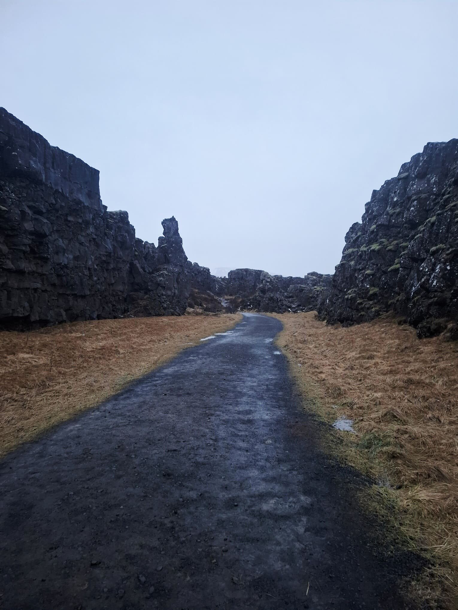 20251211_105739.jpeg 20251211_105739.jpeg