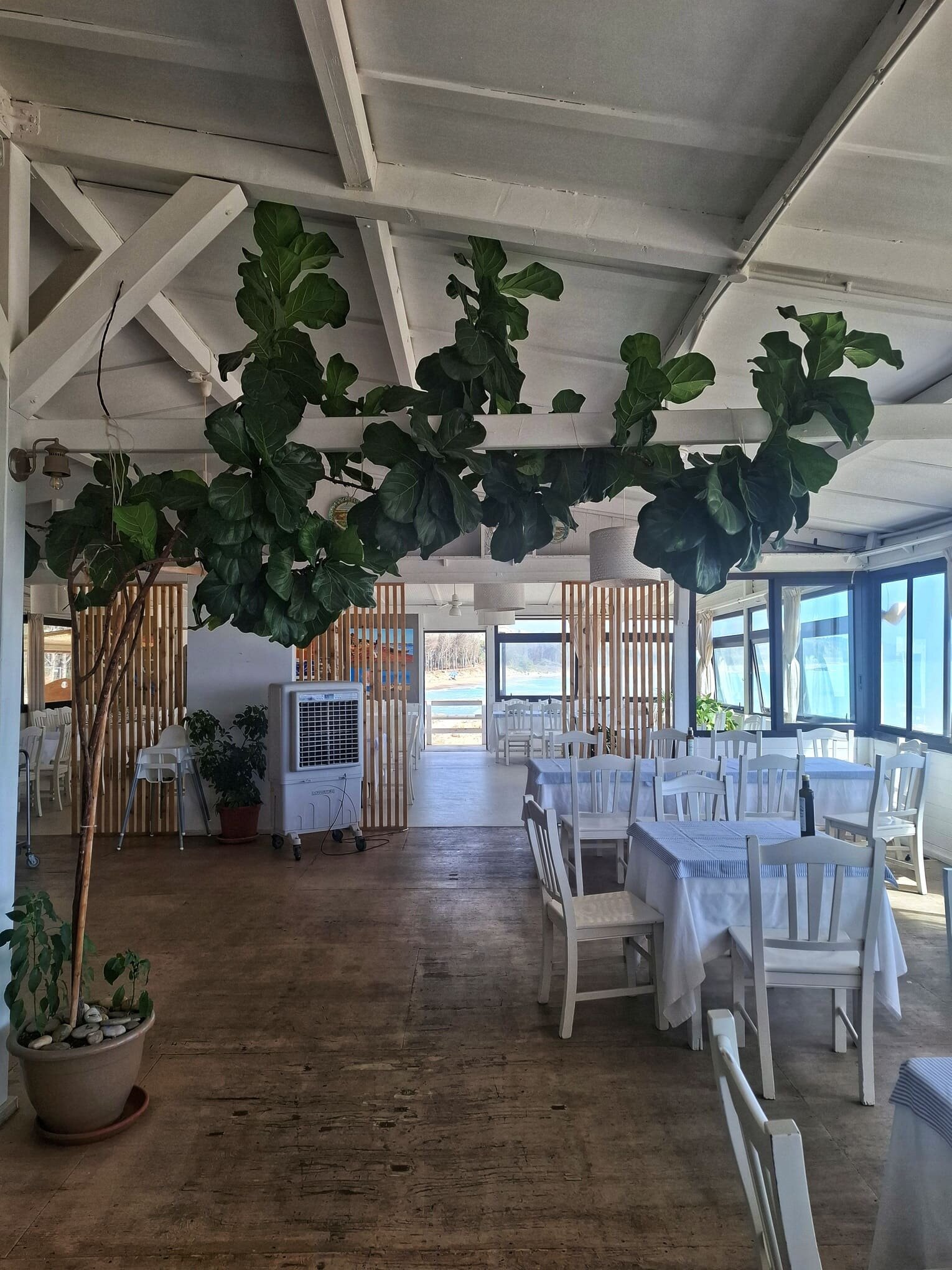 lido-garibaldi-interni.jpeg lido-garibaldi-interni.jpeg