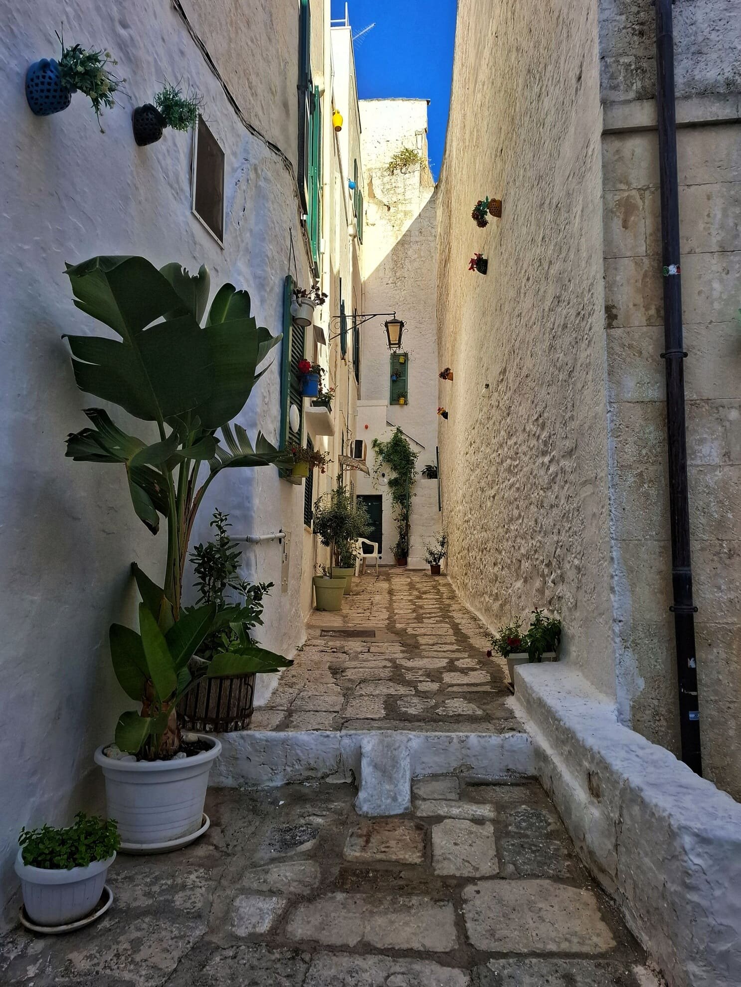 ostuni_vicoli_dentrostorico_case.jpeg
