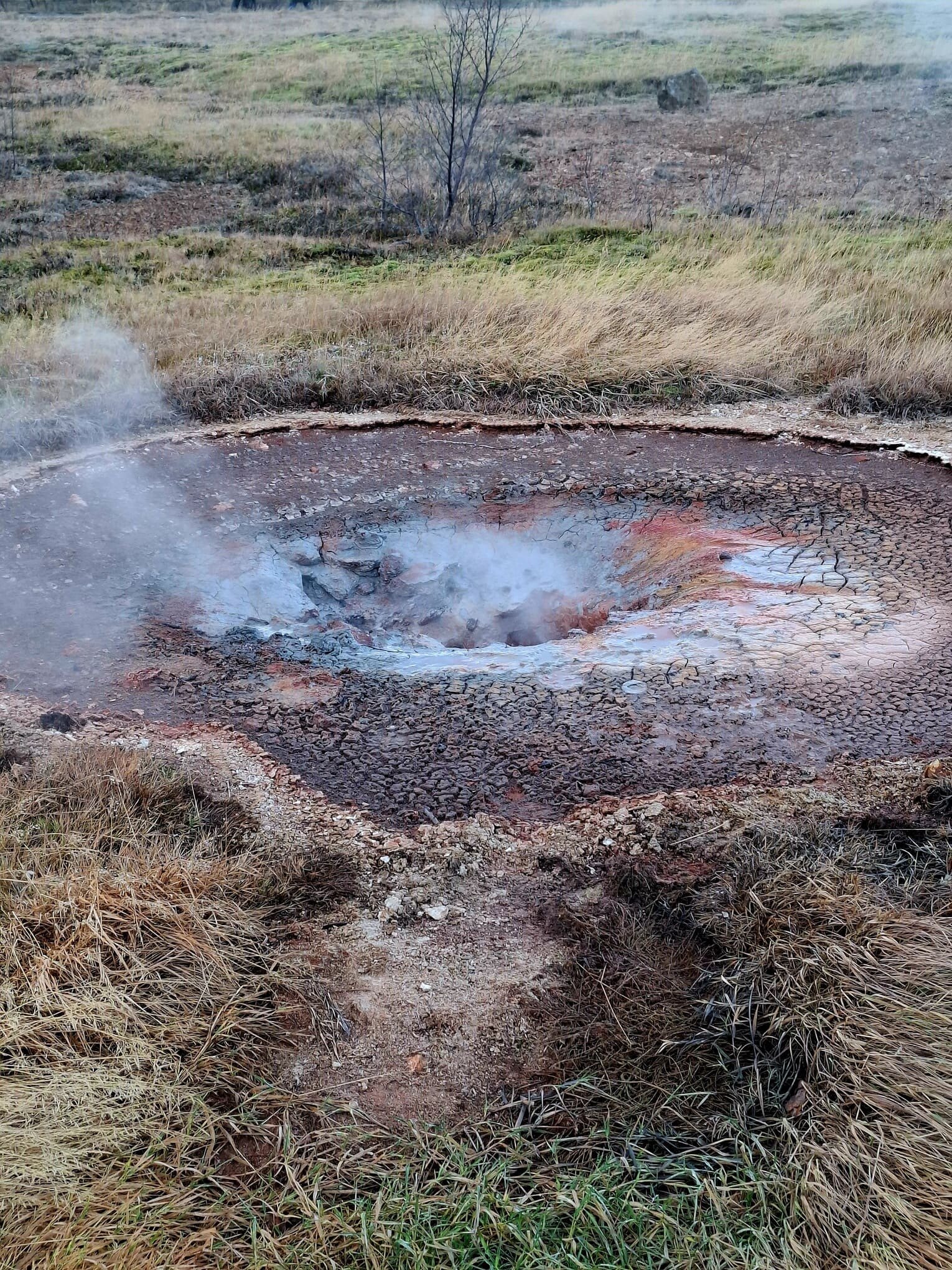 20251211_125614.jpeg 20251211_125614.jpeg