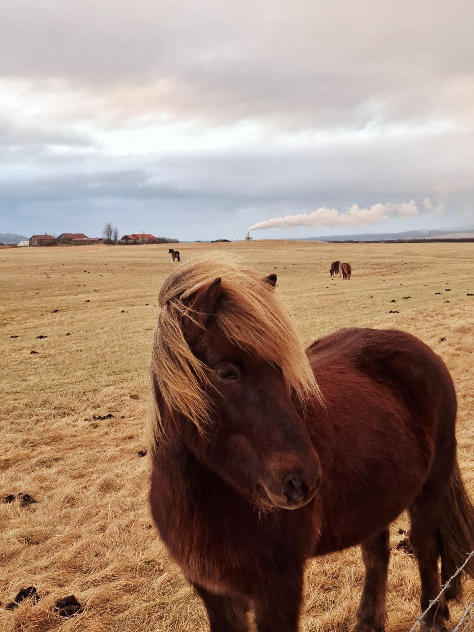 20251211_121408.jpeg 20251211_121408.jpeg