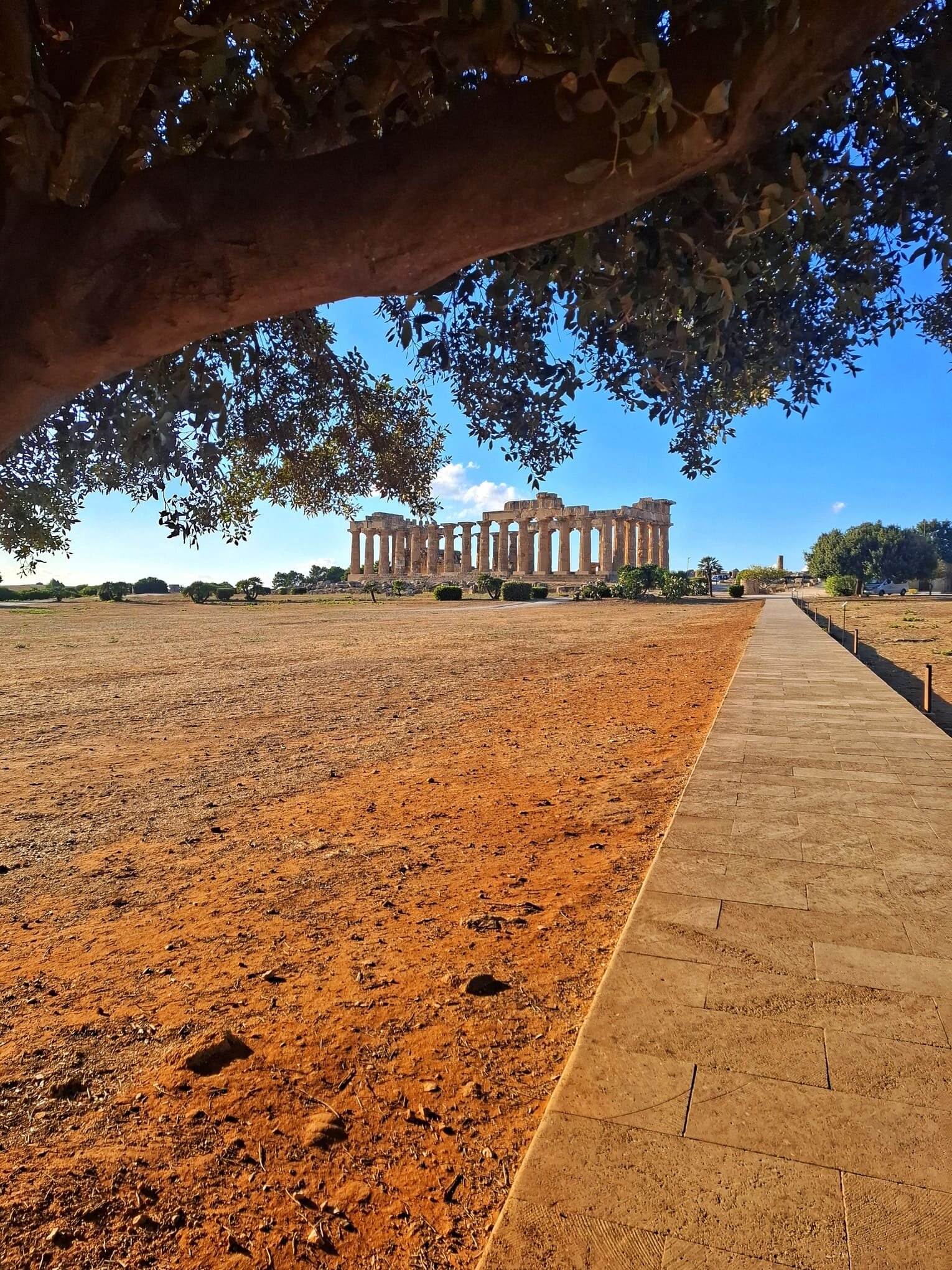 tempio-e-selinunte.jpeg tempio-e-selinunte.jpeg