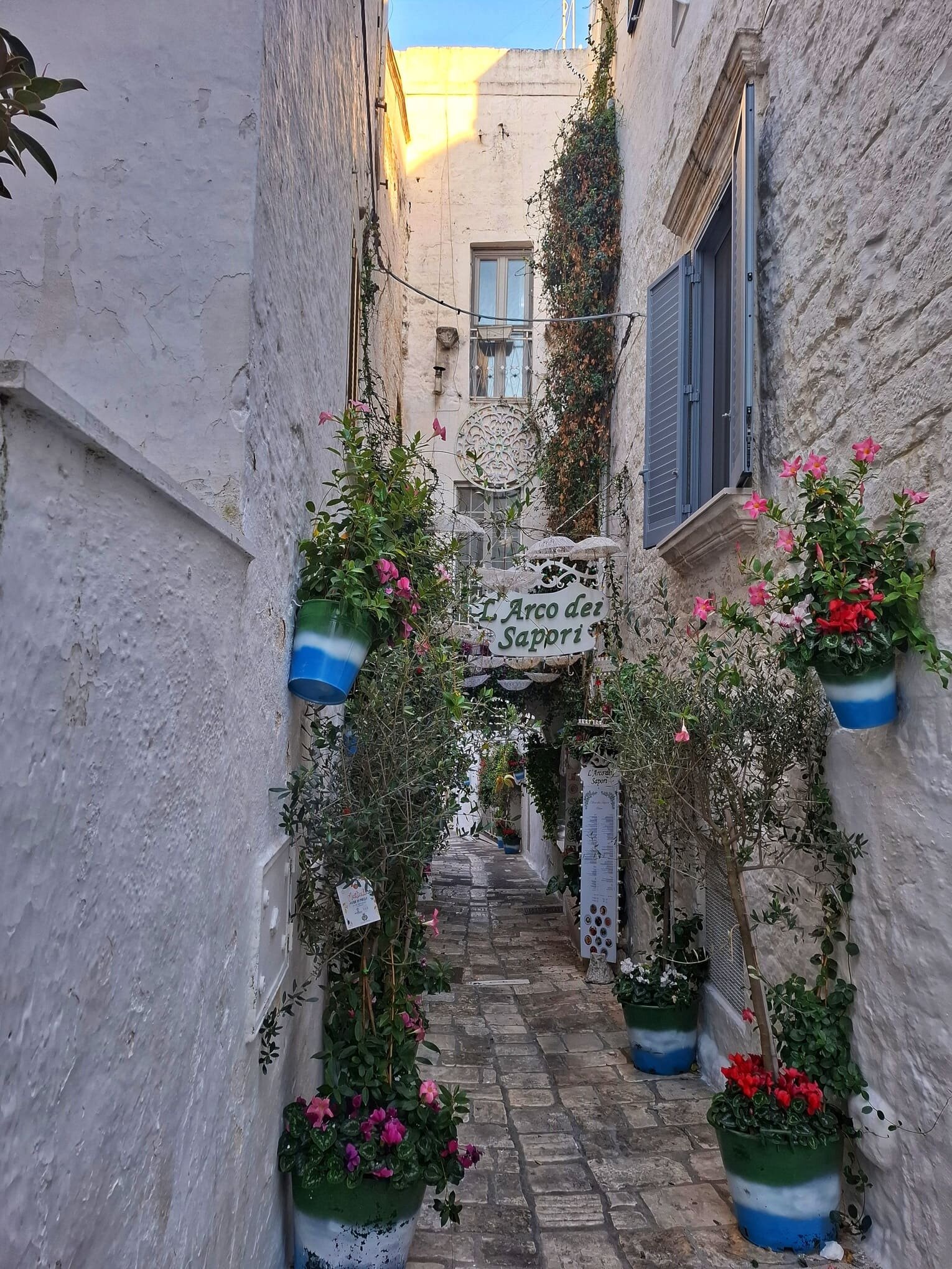 vicoli_ostuni_centro_storico.jpeg