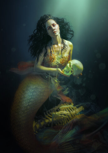 img_4304.jpeg img_4304.jpeg