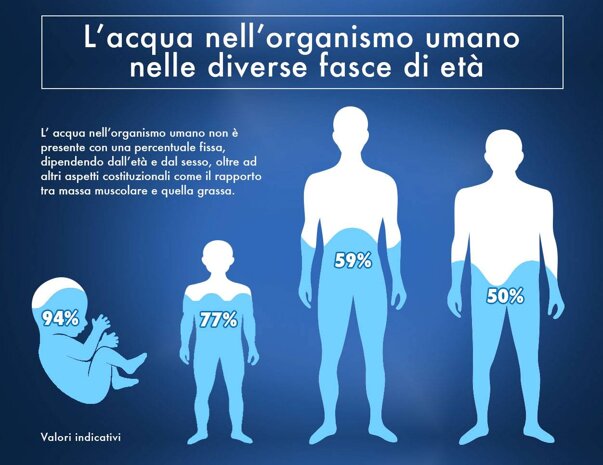 acqua_nel_corpo_umano_organismo.jpeg