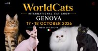  Worldcats Genova 2026