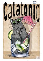 gatto-gin-tonic