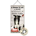 border-collie