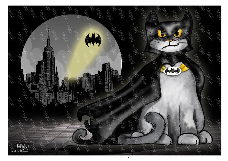bat-cat