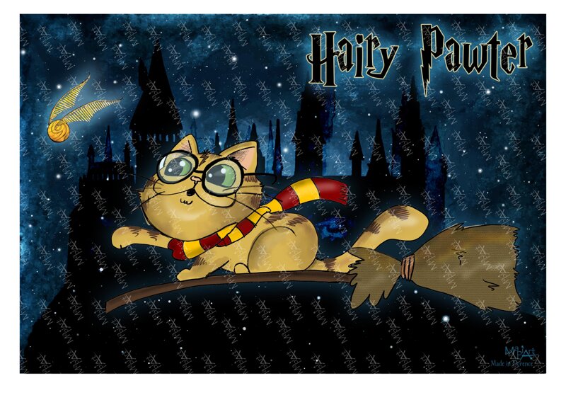 harry-pawter