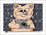 gato-fotogafo-caton