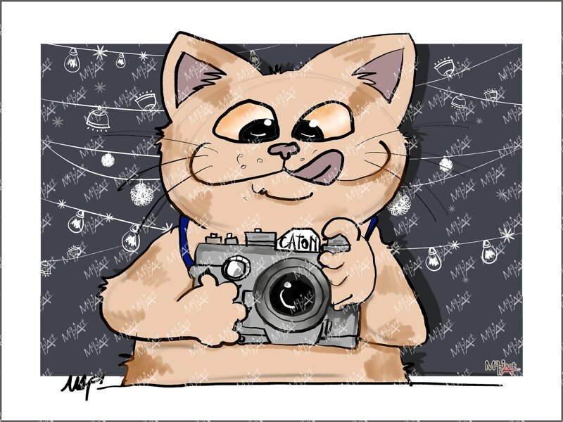 gato-fotogafo-caton