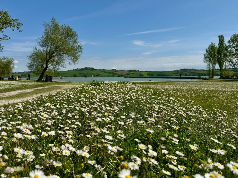img-20250428-wa0010.jpeg img-20250428-wa0010.jpeg