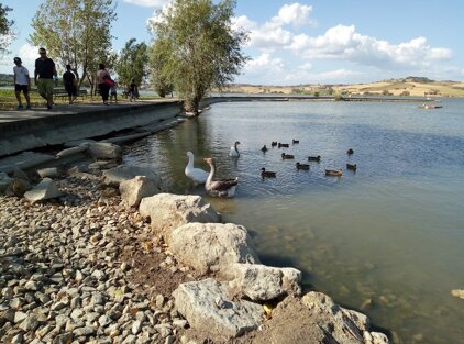 4857_b487875f59d15af8583e2bf1bf4a1d175d906fd0