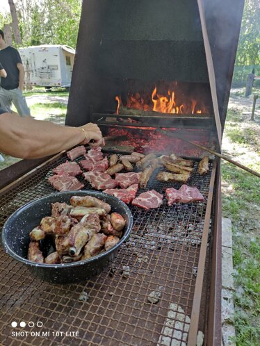 img_20250510_133552.jpeg img_20250510_133552.jpeg