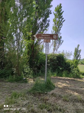 whatsapp image 2025-05-05 at 08.38.30.jpeg