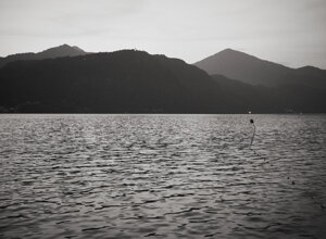fuji8847.jpeg