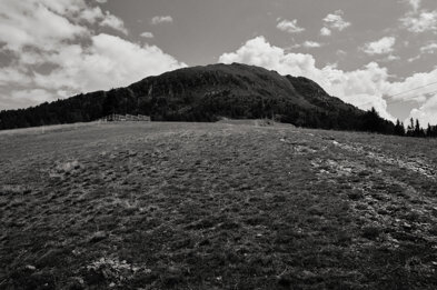 fuji9372.jpeg fuji9372.jpeg