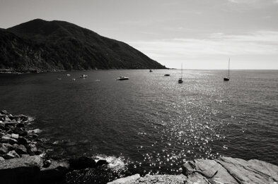 fuji9786.jpeg fuji9786.jpeg