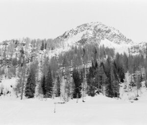 fuji0336.jpeg